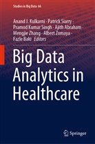 Ajith Abraham, Fazle Baki, Anand J. Kulkarni, Pramod Kumar Singh et al, Patric Siarry, Patrick Siarry... - Big Data Analytics in Healthcare