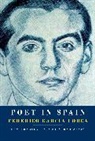 Sarah Arvio, Federico Garcia Lorca, Federico García Lorca, Federico Garcia Lorca - Poet in Spain
