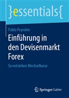 Pablo Peyrolón - Einführung in den Devisenmarkt Forex