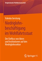 Valeska Gerstung, Hanspeter Kriesi - Vergleichende Politikwissenschaft: Niedriglohnbeschäftigung im Wohlfahrtsstaat