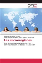 Baldema Hernández Márquez, Baldemar Hernández Márquez, Glori Hernández Perez, Gloria Auristela Hernández Perez, Jhovanny Ramón Ruiz - Las microrregiones