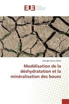 Gbangbo Konan Rémis - Modélisation de la déshydratation et la minéralisation des boues