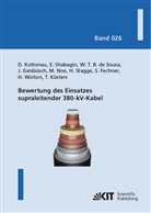 Batista de Sousa, Wescley Tiago Batista de Sousa, Simon Fechner, Jörn Geisbüsch, Dusti Kottonau, Dustin Kottonau... - Bewertung des Einsatzes supraleitender 380-kV-Kabel