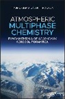 H Akimoto, Hajime Akimoto, Hajime Hirokawa Akimoto, Akimoto Hajime, Jun Hirokawa - Atmospheric Multiphase Chemistry