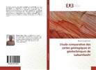 Bernard Musafiri Pauni - Etude comparative des cartes géologiques et géotechniques de Lubumbashi