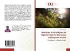Aurès Tchiché - Menaces et stratégies de régénération de Borassus aethiopum à Savè