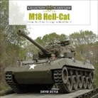 David Doyle - M18 Hell-Cat