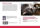 Walter Fuertes Díaz, Faust Meneses Becerra, Fausto Meneses Becerra - Métodos Numéricos para Profesionales, en Matlab