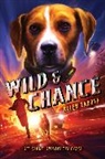 Allen Zadoff - Wild & Chance