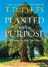 T D Jakes, T. D. Jakes - Planted with a Purpose