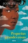Jodi Picoult - Pequeñas Grandes Cosas