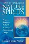 Elizabeth Clare Prophet, Elizabeth Clare (Elizabeth Clare Prophet) Prophet - How to Work with Nature Spirits