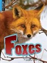 Anita Yasuda - Foxes
