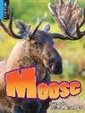 Nick Winnick - Moose