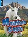 Laura Pratt - Mountain Goats