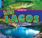 John Willis - Los Lagos