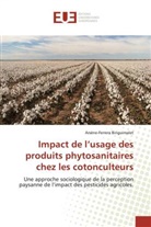 Arsène-Ferrera Binguimalet - Impact de l'usage des produits phytosanitaires chez les cotonculteurs