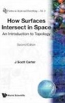 J Scott Carter, J. Scott Carter, J Scott Carter - HOW SURFACES INTERSECT IN...(2ND ED)(V2)