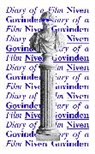 Niven Govinden, Govinden Niven - Diary of a Film