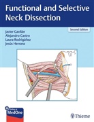 Alejandro Castro, Javier Gavilan, Jesus Herranz-González, Laur Rodrigánez, Laura Rodrigánez - Functional and Selective Neck Dissection