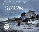 Amy Cherrix - Eye of the Storm
