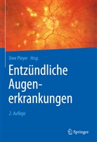 Uw Pleyer, Uwe Pleyer - Entzündliche Augenerkrankungen