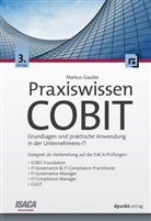 Markus Gaulke - Praxiswissen COBIT