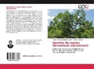 Pedro Antoni Dominguez Zarate, Pedro Antonio Dominguez Zarate, Alfonso Totosaus - Semilla de ramón (Brosimum alicastrum)
