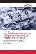 William Fagiani - Estudio experimental del comportamiento de un reactor electrolítico