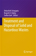 Brajesh K. Dubey, Sudha Goel, Brajes K Dubey, Brajesh K Dubey, Debashish Sengupta - Treatment and Disposal of Solid and Hazardous Wastes