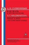 Aleksandr Solzhenitsyn, Aleksandr Isaevich Solzhenitsyn, Solzhenitsyn Aleksandr, G. Barabtarlo - Solzhenitsyn: What a Pity