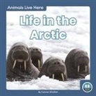 Connor Stratton - Life in the Arctic