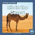 Connor Stratton - Life in the Desert
