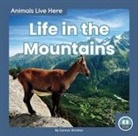Stratton, Connor Stratton - Life in the Mountains