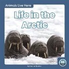 Connor Stratton - Life in the Arctic