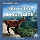 Connor Stratton - Life in the Mountains