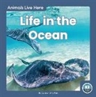 Connor Stratton - Life in the Ocean