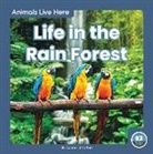 Stratton, Connor Stratton - Life in the Rain Forest