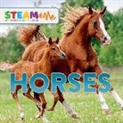 Ben Grossblatt - Horses