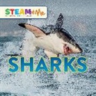 L. J. Tracosas - Sharks