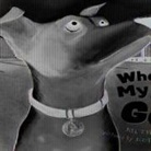 Jill Esbaum, Scott Brundage - Where'd My Jo Go?