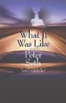 Peter Seth - What It Was Like