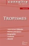Nathalie Sarraute - Fiche de lecture Tropismes de Nathalie Sarraute (Analyse littéraire de référence et résumé complet)
