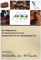 Silvia Wenning, Angel Sandmann, Angela Sandmann - Der Regenwurm