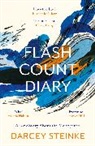Darcey Steinke, Steinke Darcey - Flash Count Diary