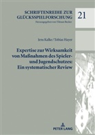 Tobias Hayer, Jens Kalke - Expertise zur Wirksamkeit von Maßnahmen des Spieler- und Jugendschutzes: Ein systematischer Review