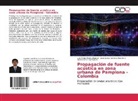 Luis Felipe Pinto Villarreal, Jua Carlos Serrano Rico, Juan Carlos Serrano Rico, Hector Uriel Rivera, Juan Carlos Serrano Rico, Uriel Rivera... - Propagación de fuente acústica en zona urbana de Pamplona - Colombia