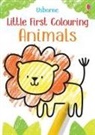 Kirsteen Robson, Robson Kirsteen, Jenny Brown - Little First Colouring Animals