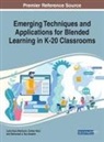 KYEI-BLANKSON NTULI, Lydia Kyei-Blankson, Esther Ntuli, Mohamed A. Nur-Awaleh - Emerging Techniques and Applications for Blended Learning in K-20 Classrooms