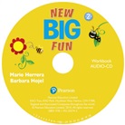 Big Fun Refresh Level 2 Workbook Audio CD (Audio book)